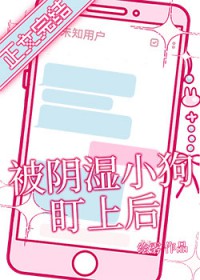 ���������ֲ᡾NP��